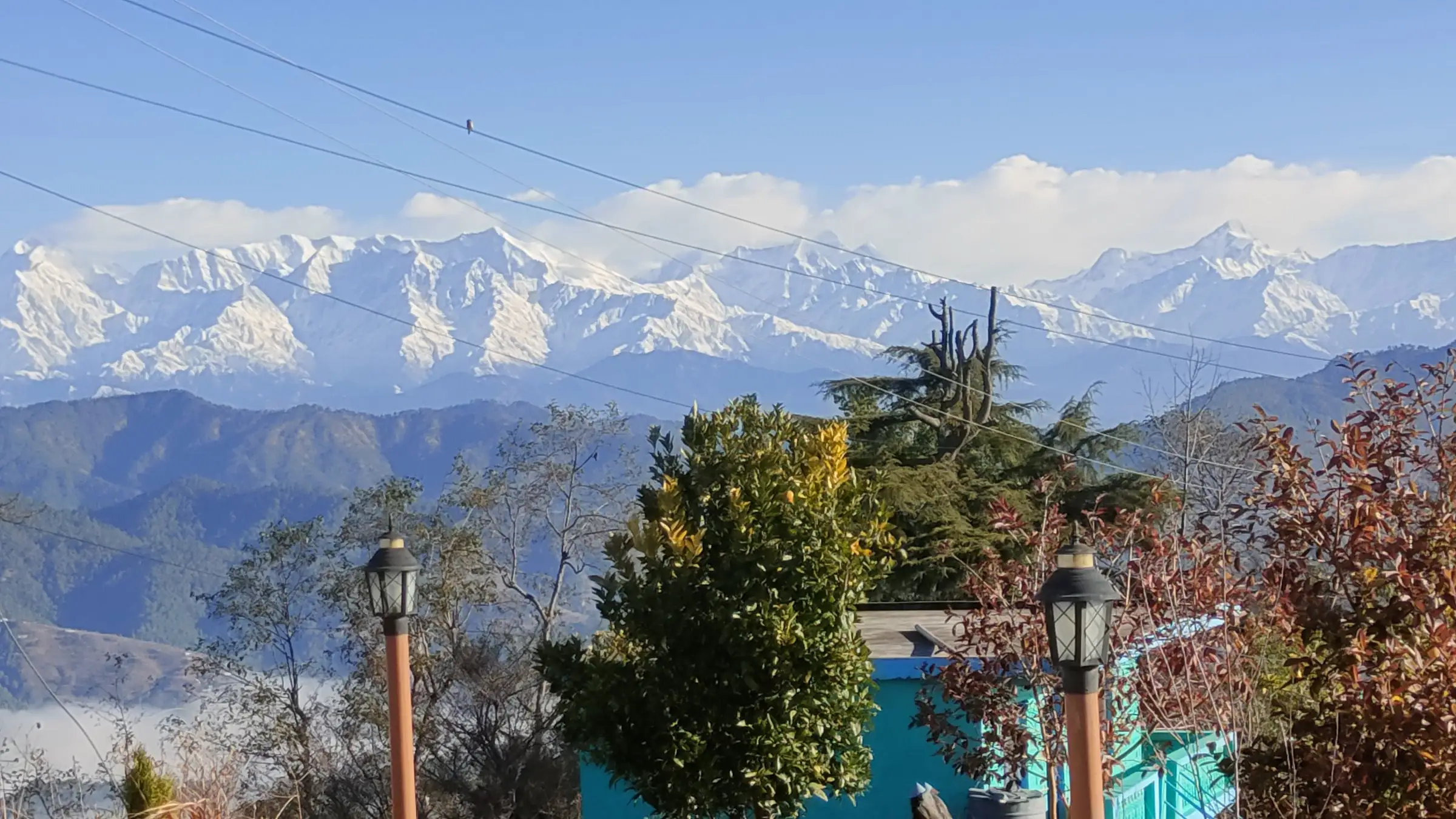 A snow range above blue ridges, seen over trees and power lines