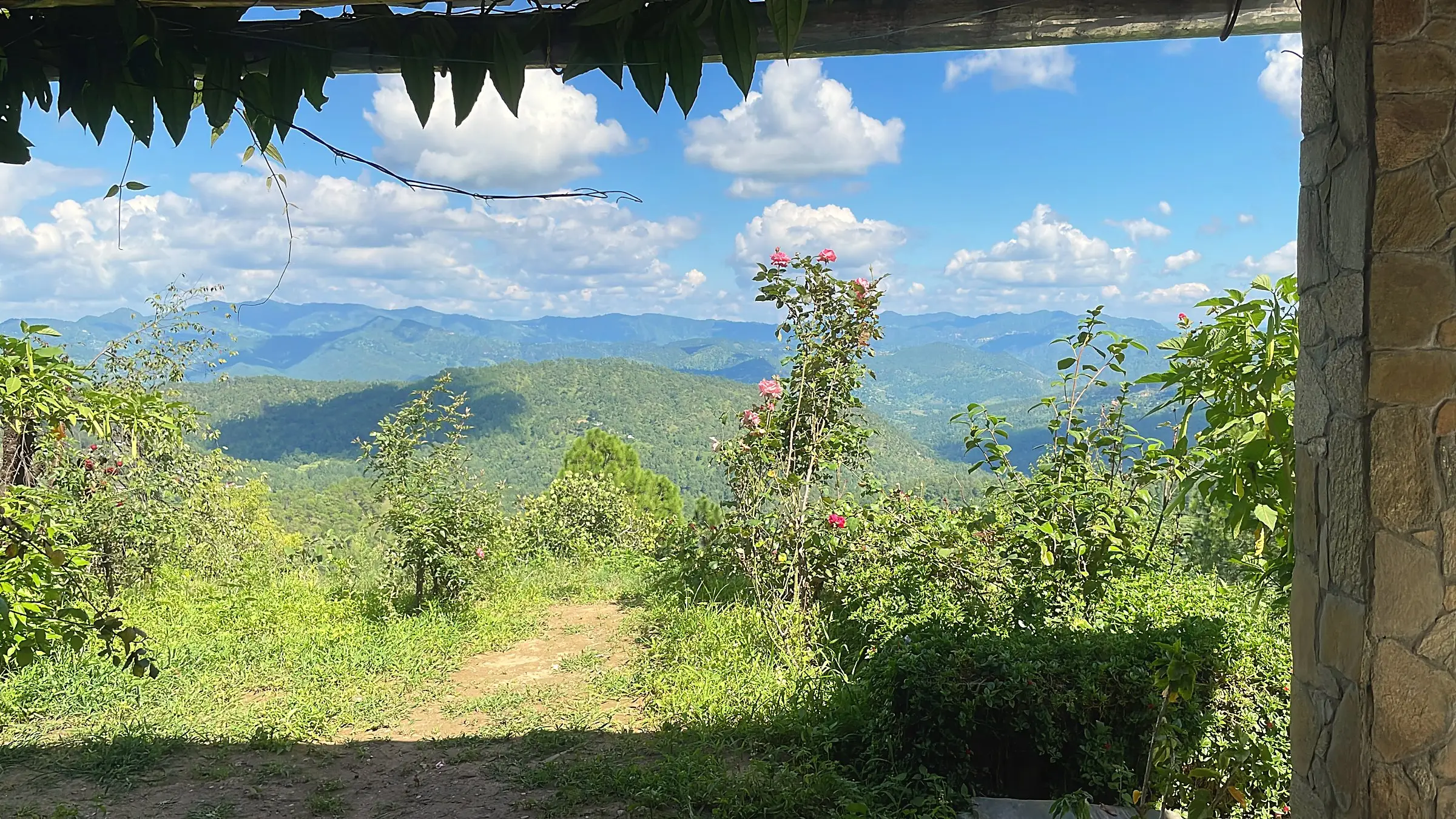 Green hills seen past a stone pillar, rose bushes and a dirt path
