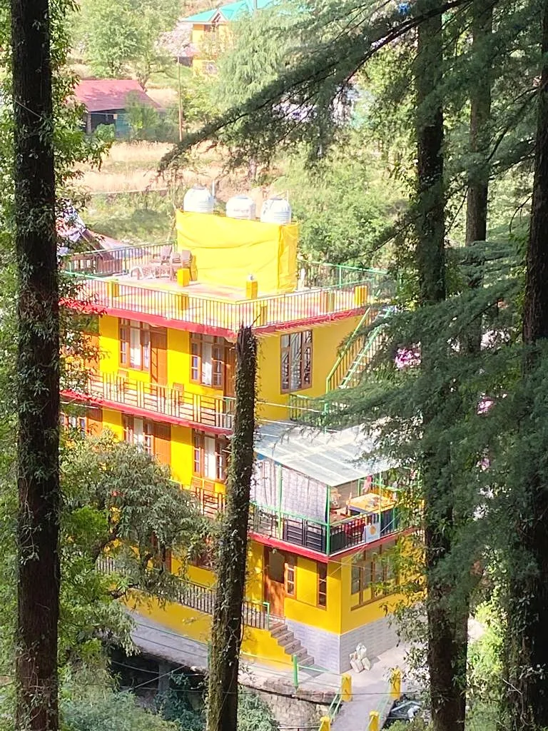 The yellow building seen through tall trunks, with terraces and a rooftop
