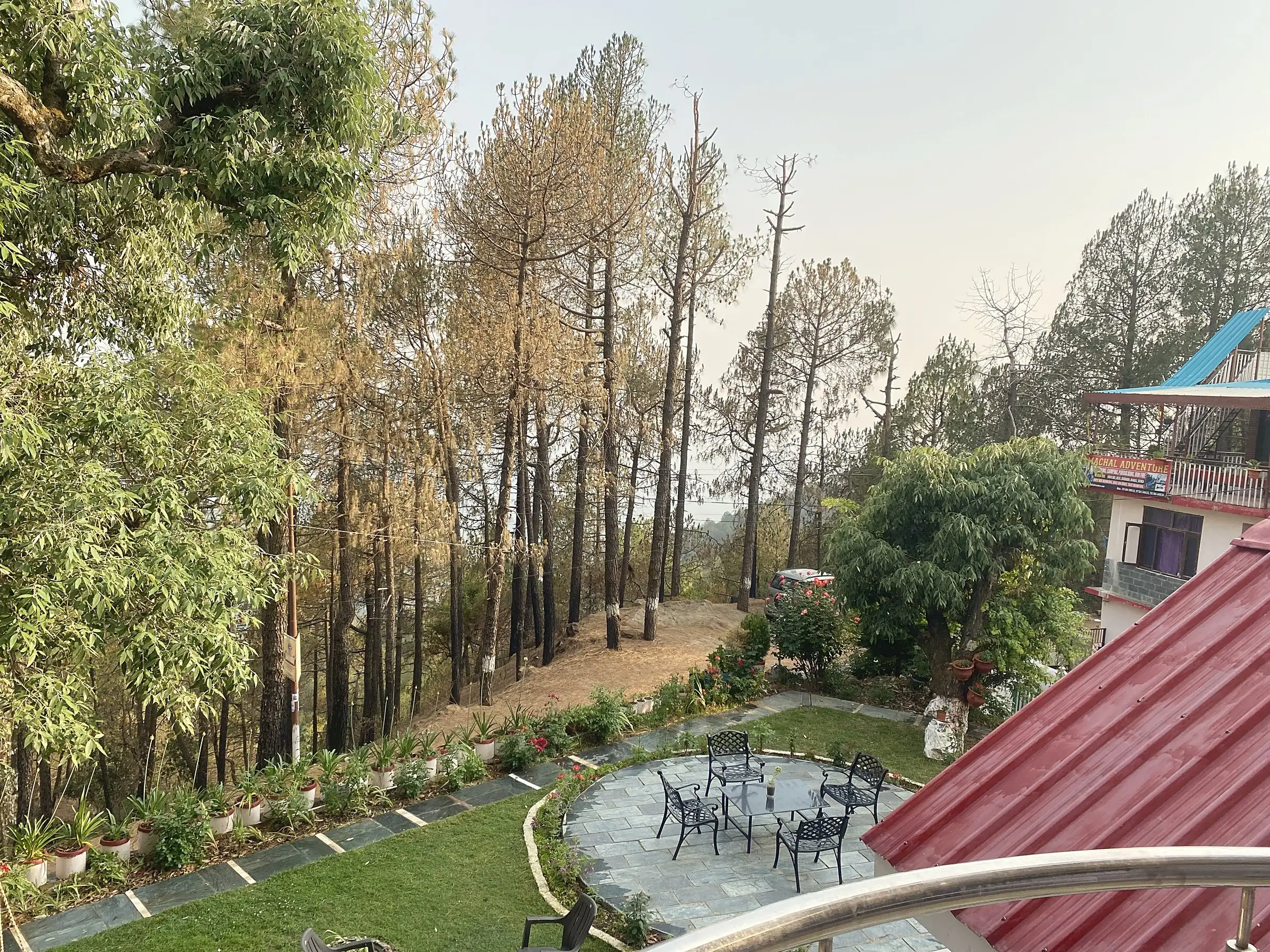 Pine trees and the patio, seen from a balcony rail