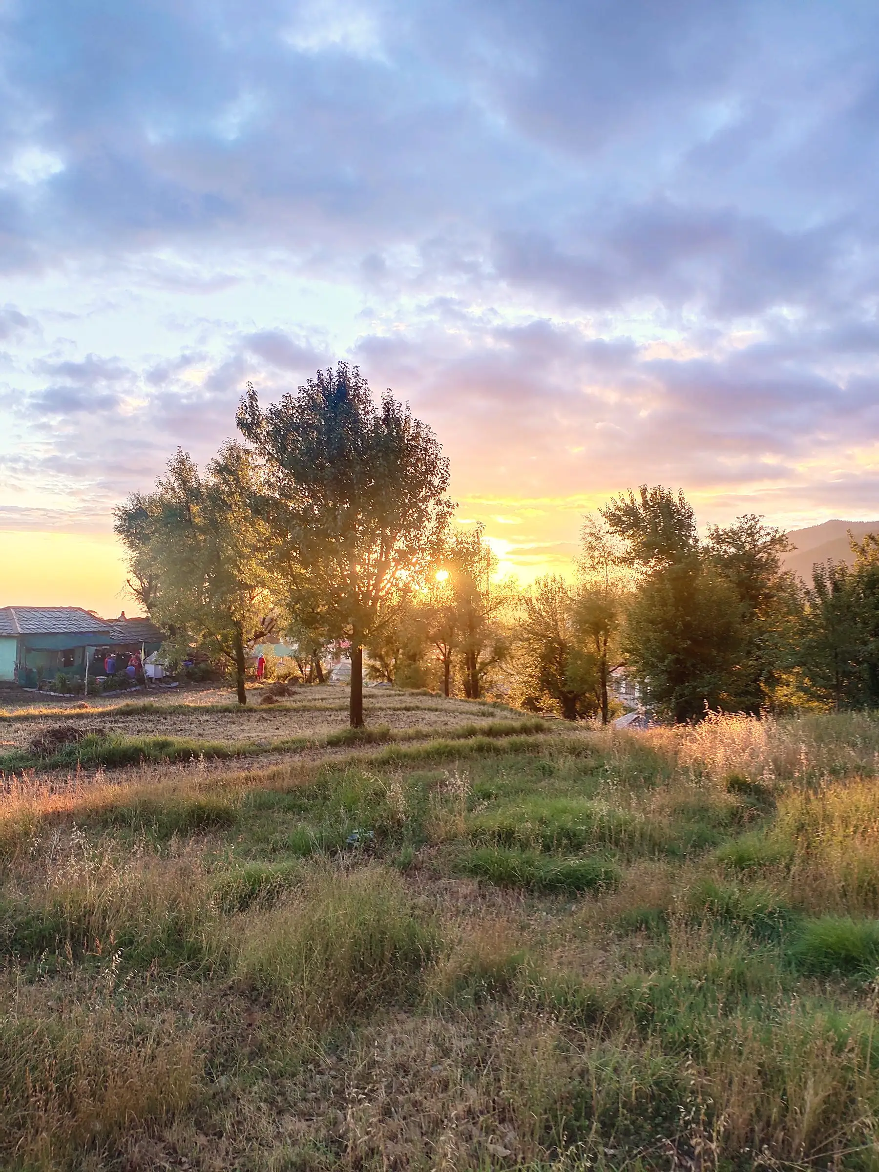 Sunset over a grassy slope with trees and a roof at the edge