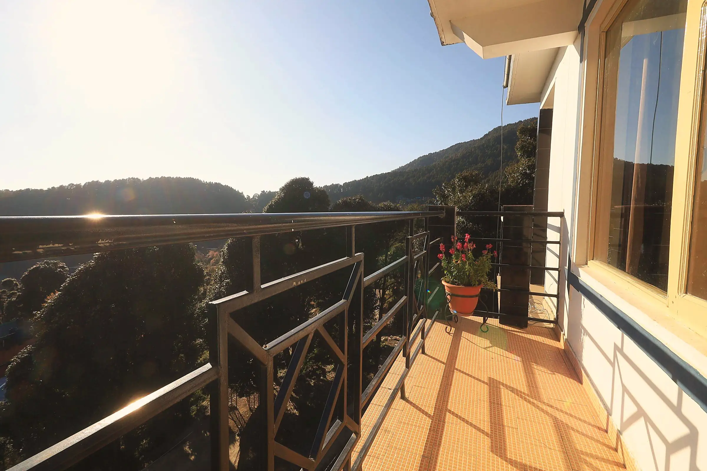 A balcony with a black metal rail, a flower pot and the hillside beyond