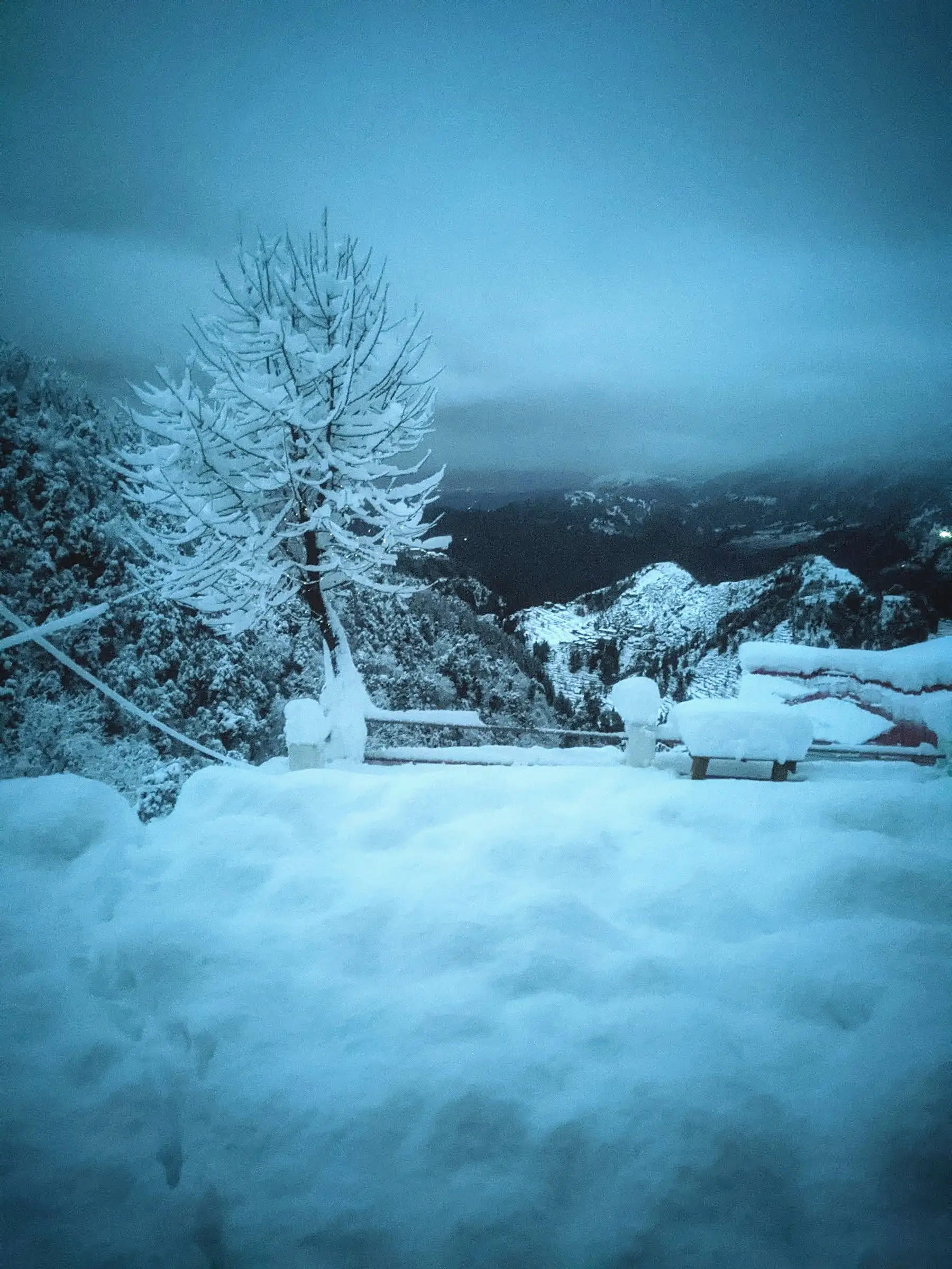 A snow-covered terrace and tree at dusk, with hills behind
