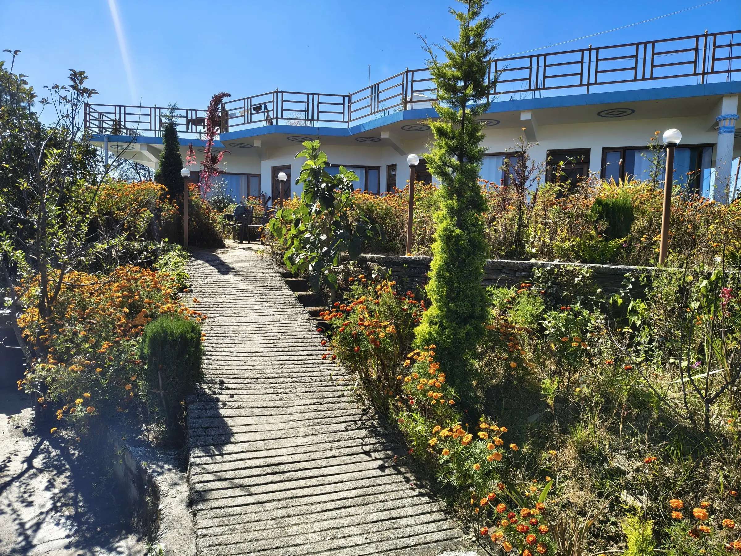 A stepped garden path lined with orange flowers, below the building