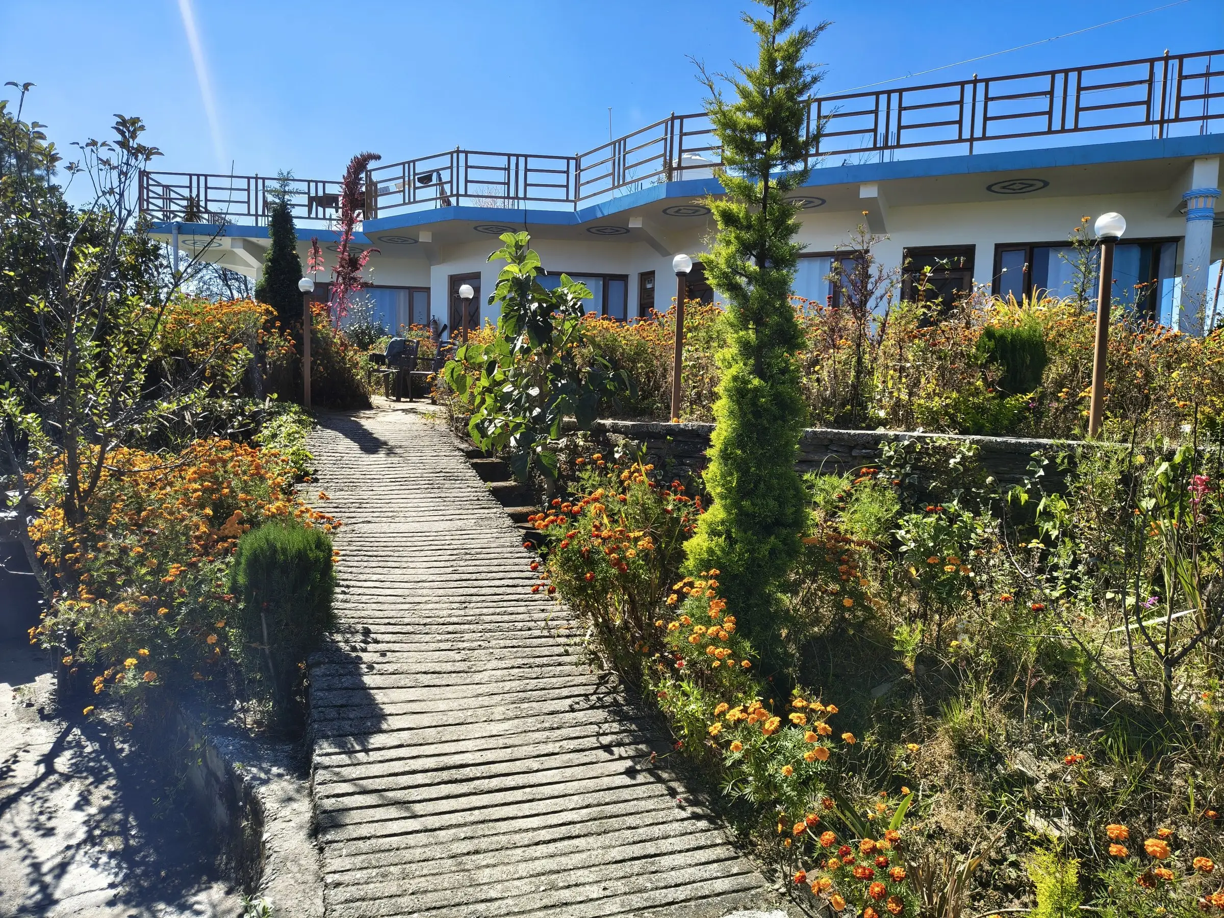 A stepped garden path lined with orange flowers, below the building