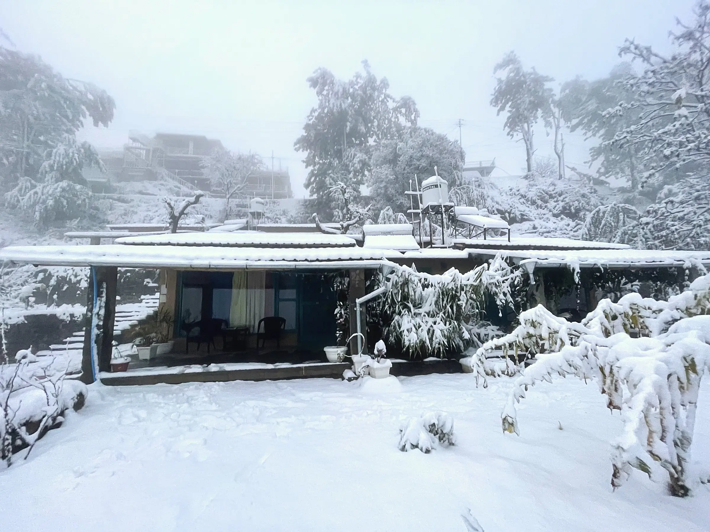 The cottage covered in snow, with snow-laden trees around it
