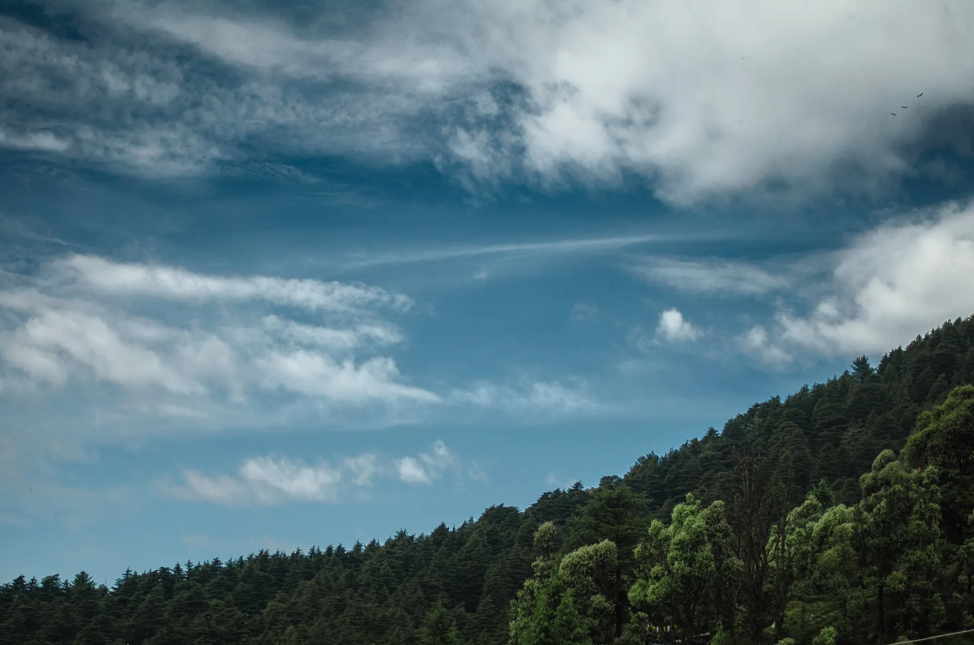 Cloud over a forested slope at Dharamkot
