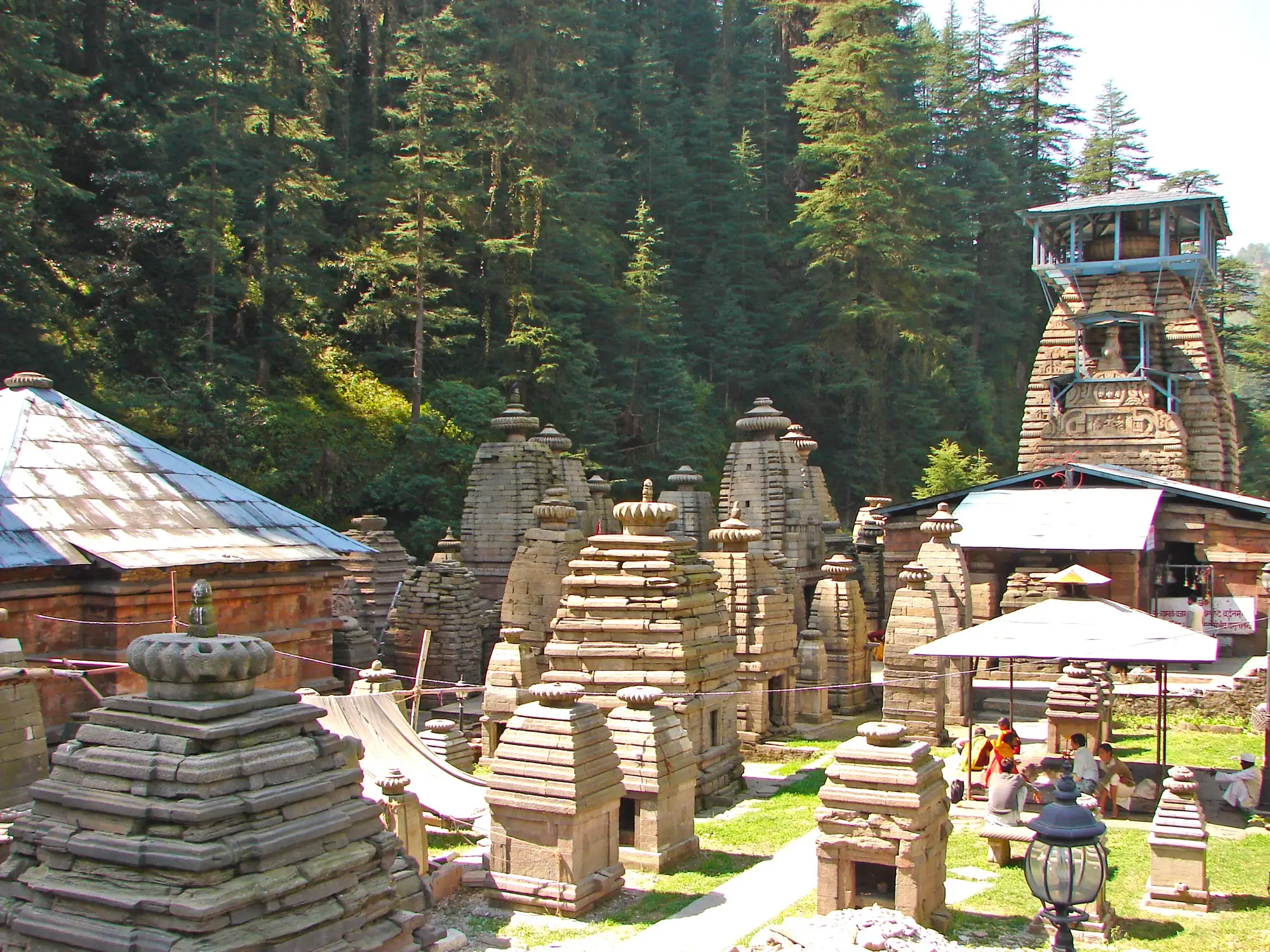 Small stone temples crowded together in a deodar forest at Jageshwar