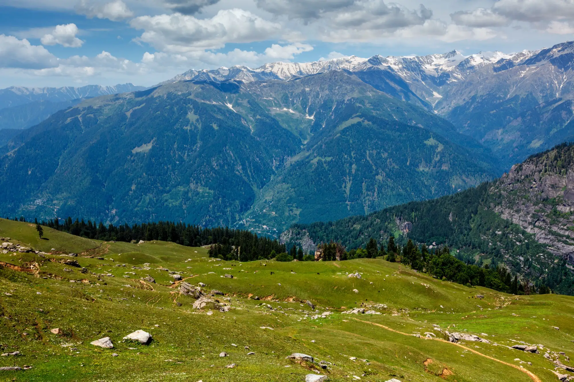 A wide green slope in the Kullu valley in spring with ridges beyond
