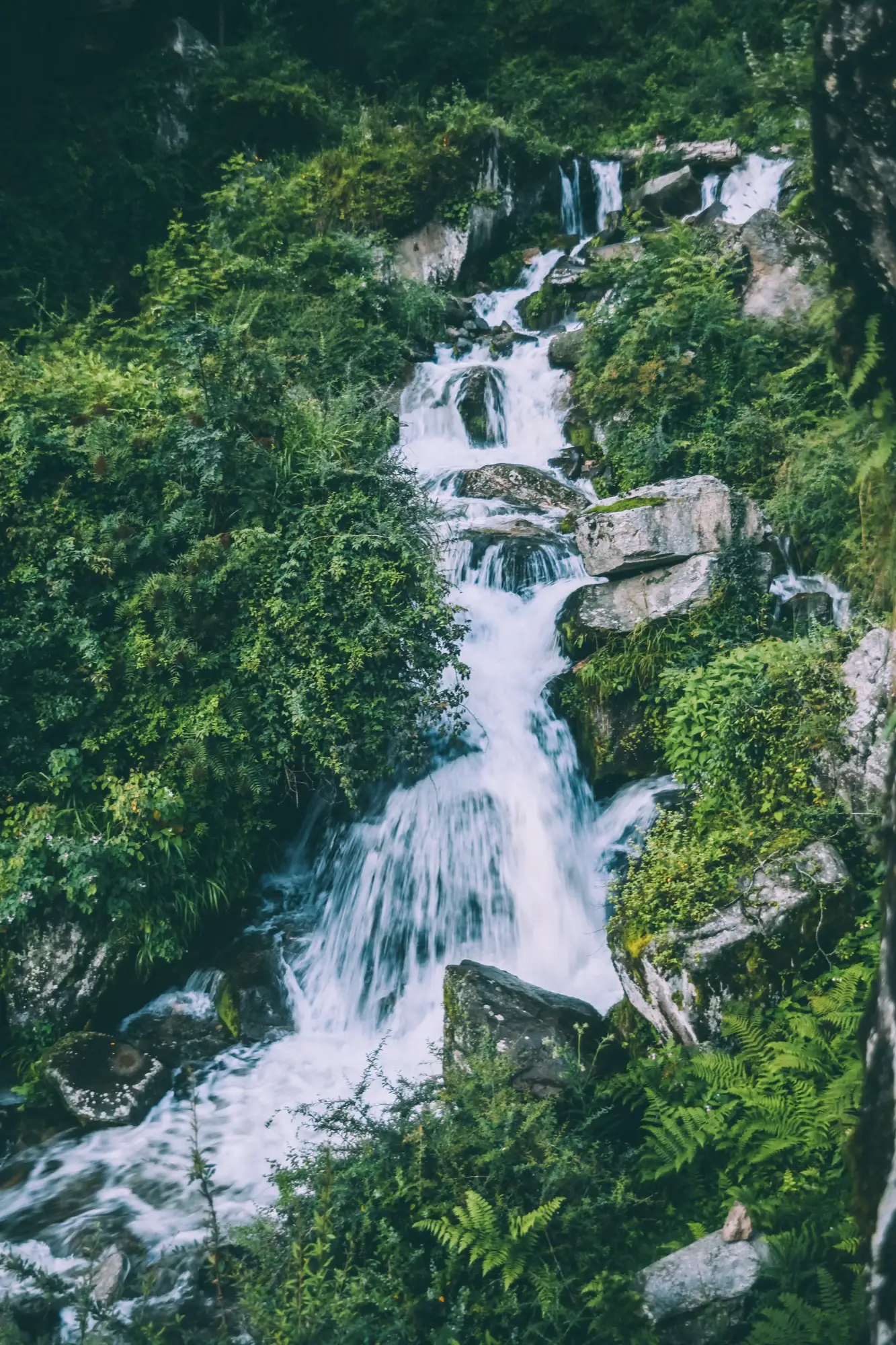 A waterfall running down a forested slope near Manali