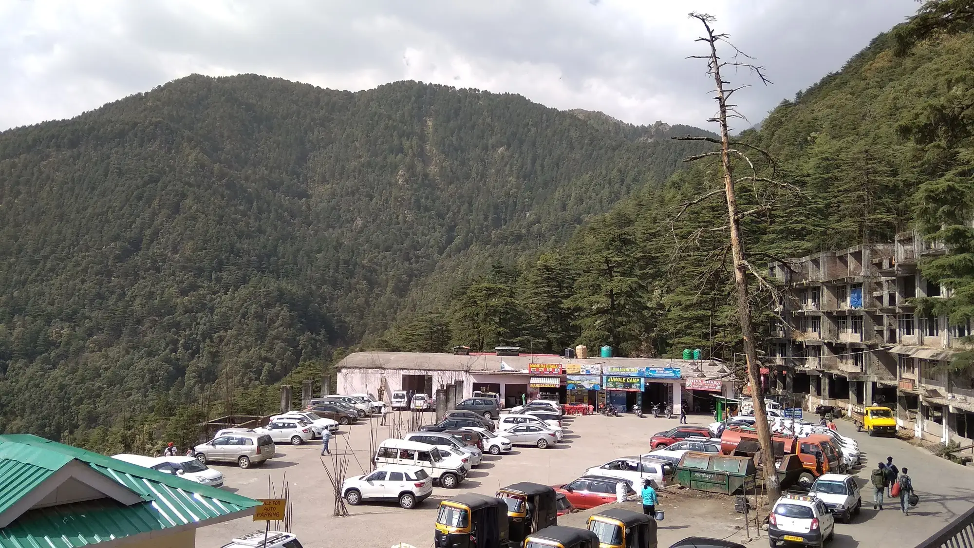 The bus and taxi stand at McLeod Ganj, with parked cars below forested slopes