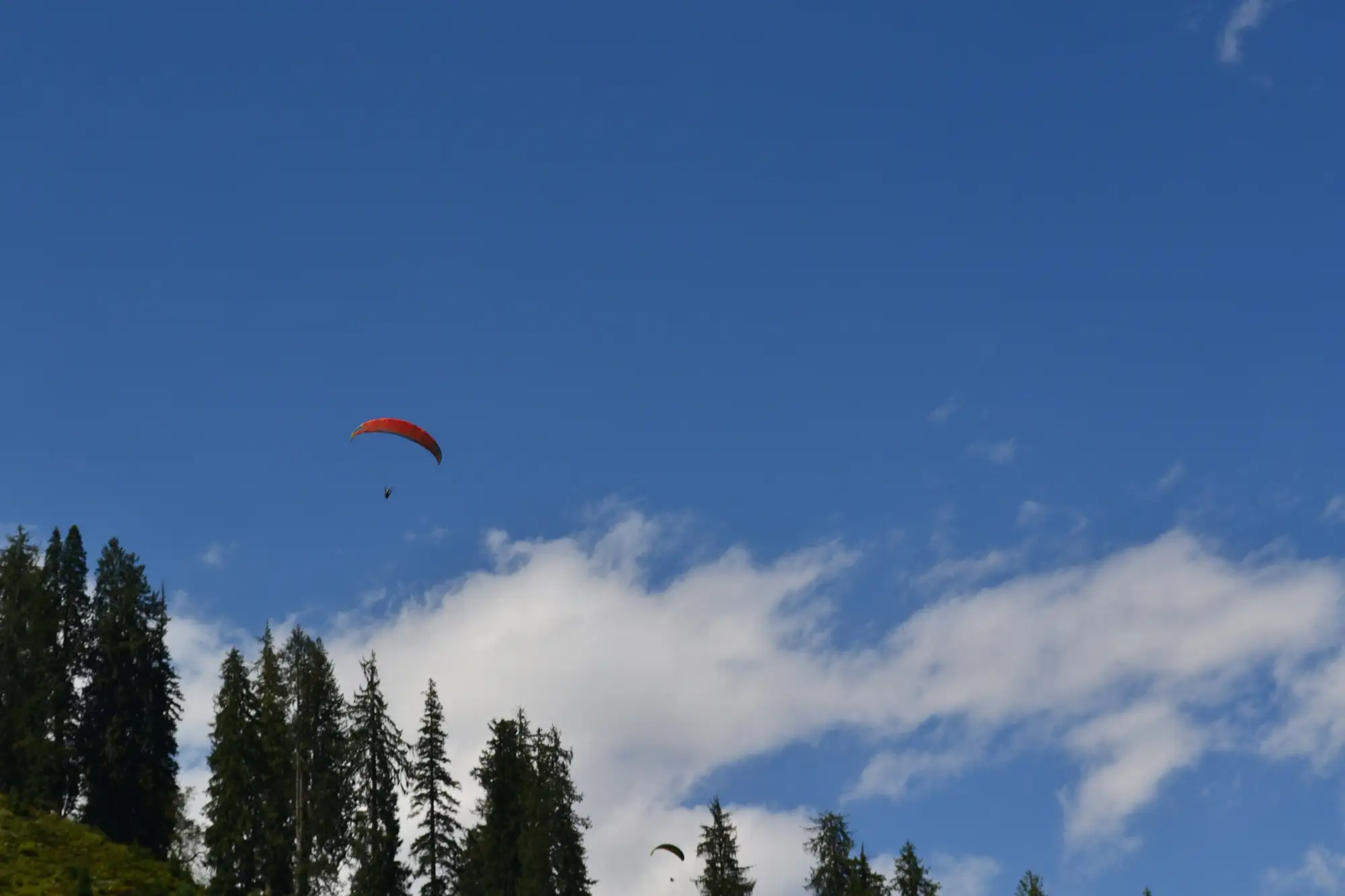 A paraglider in a clear blue sky above the trees at Solang Valley