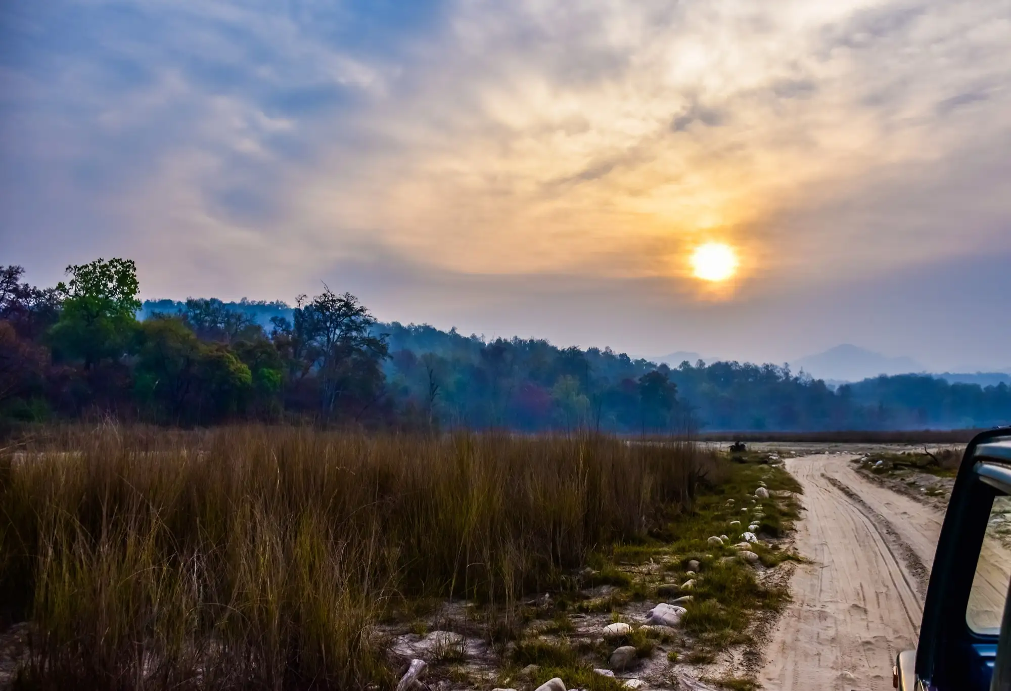 Grassland and water at dusk in Rajaji National Park
