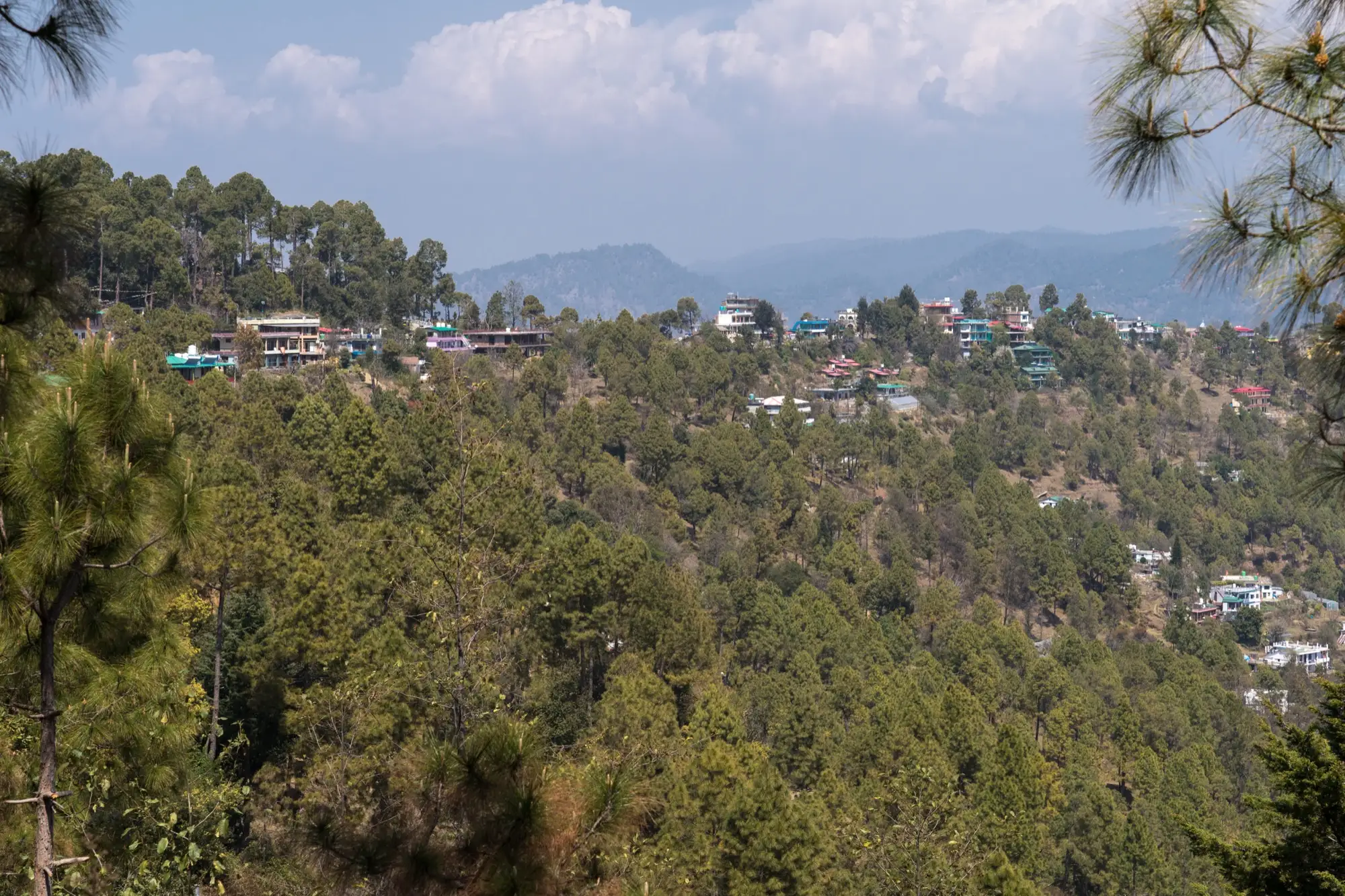 Houses scattered along a forested ridge at Kasar Devi, Almora, seen from Crank's Ridge