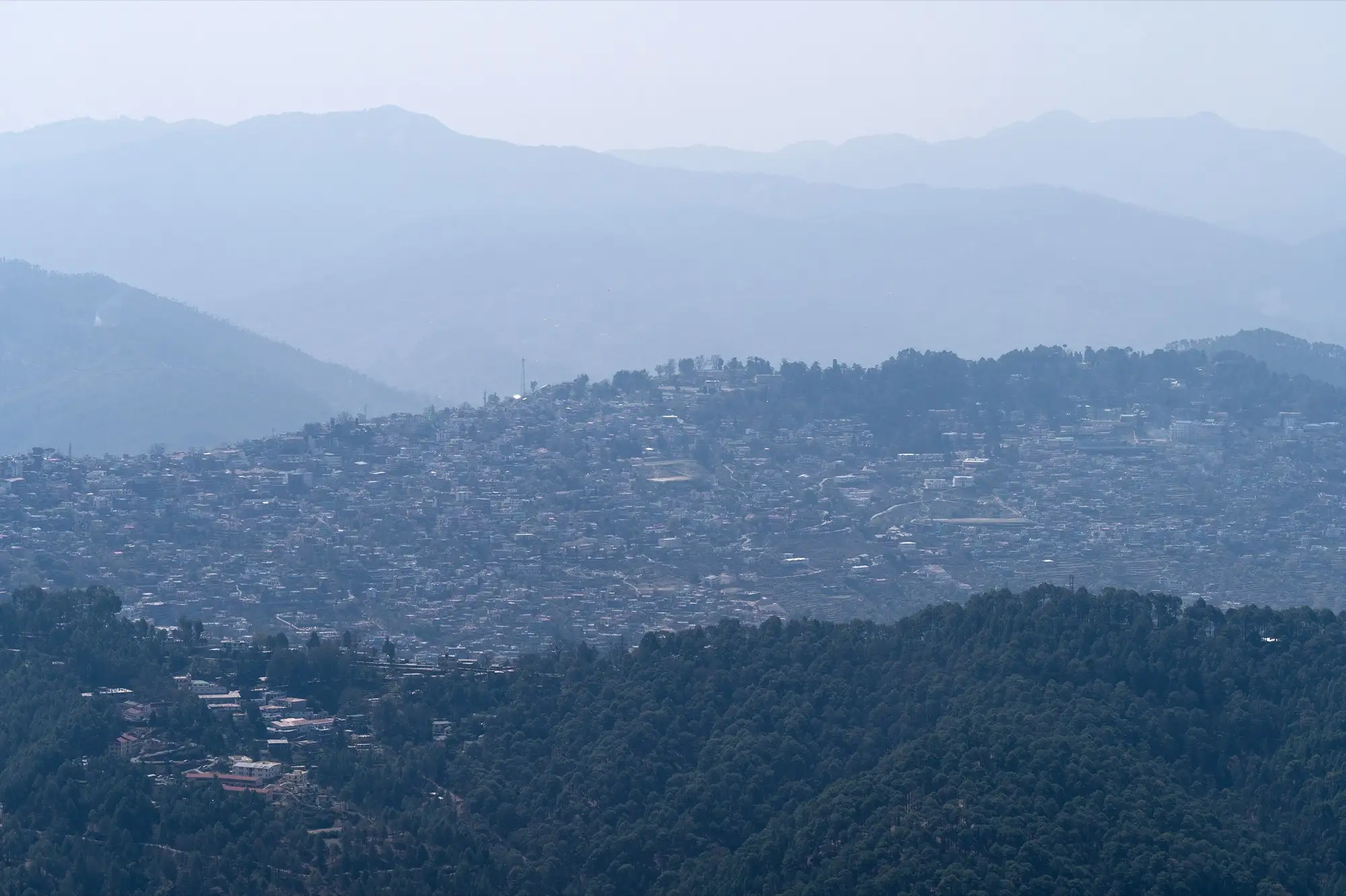 Almora town spread over its ridge, seen from Crank's Ridge above pine forest