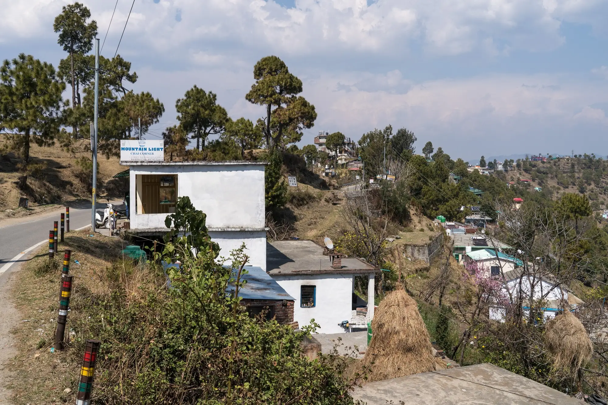 A road and white houses among pines in Kasar Devi village