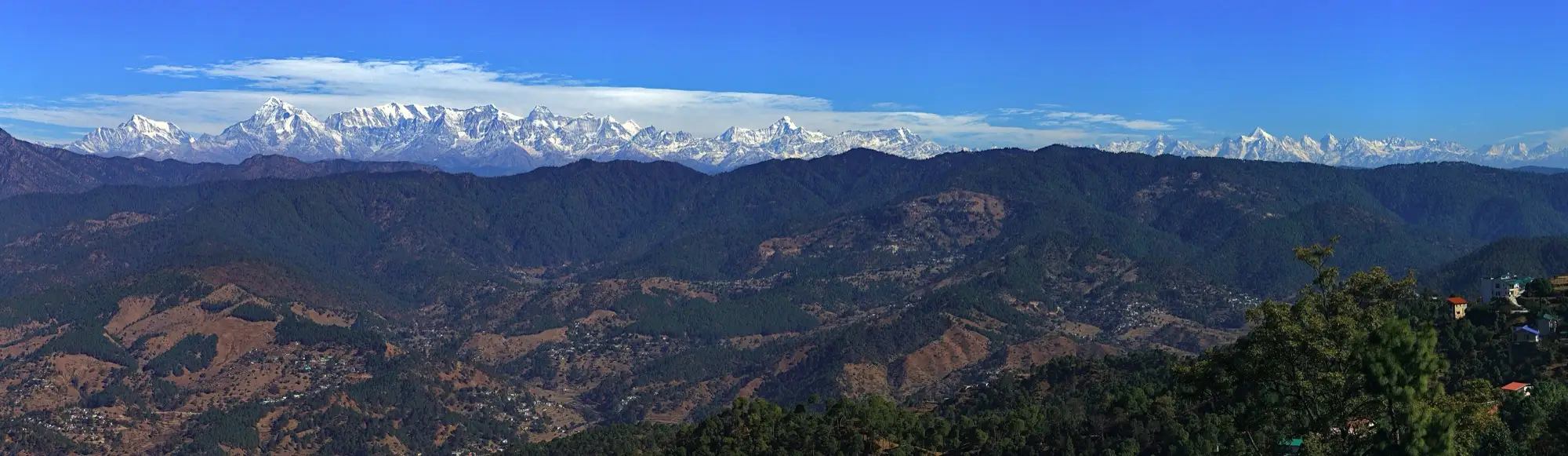 A long line of snow peaks seen from a ridge at Ranikhet